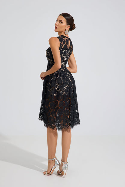 Ashford Noir Dantel A-Line Midi Elbise